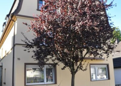 Straßenansicht von gemütlicher Wohnung mit Terrasse und Balkon in Gevelsberg