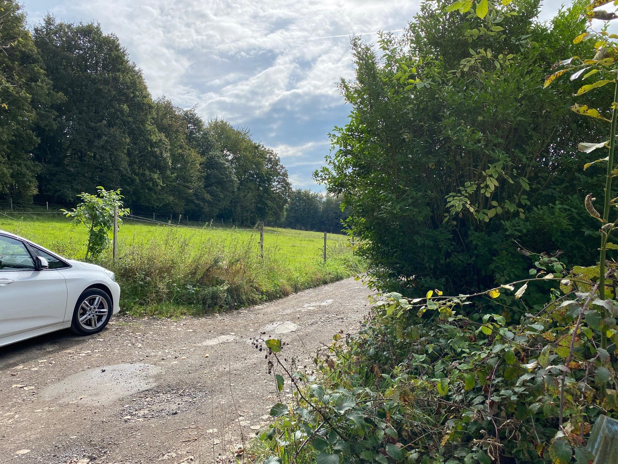 Blick von der Grundstücksgrenze ins Umfeld